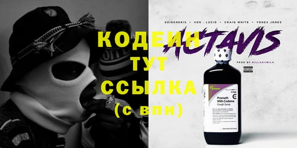 стаф Коряжма