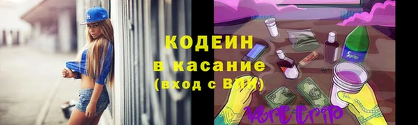 стаф Коряжма