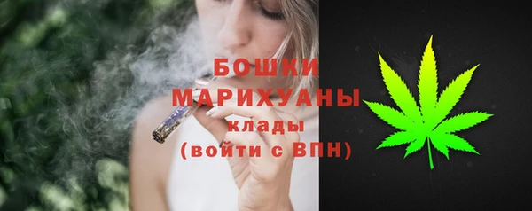 Альфа ПВП Костерёво