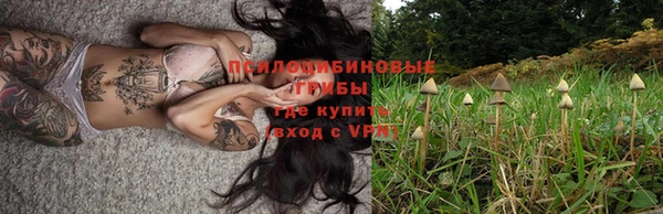 Альфа ПВП Костерёво